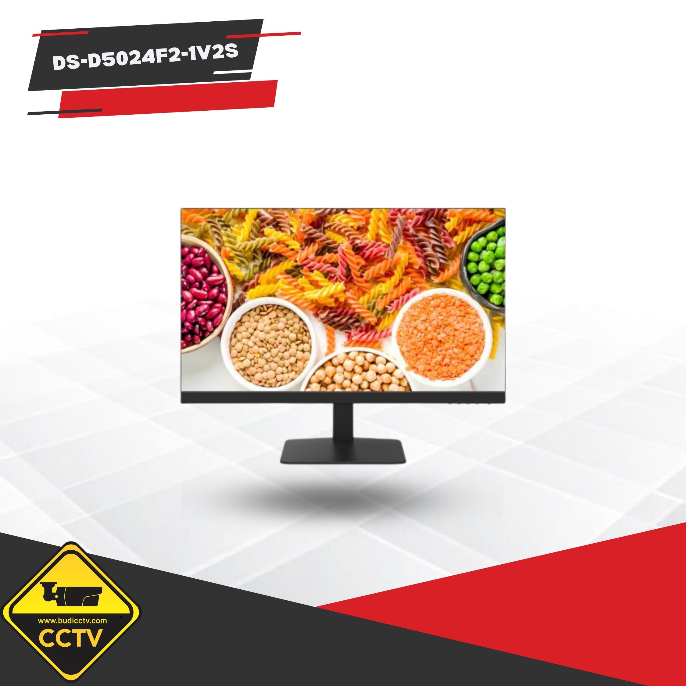 MONITOR 24 INCH AUDIO DS-D5024F2-1V2S